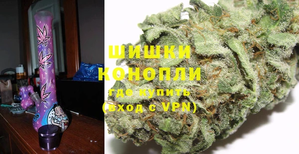 мдпв Струнино