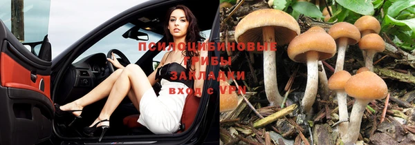 гашишное масло Горняк