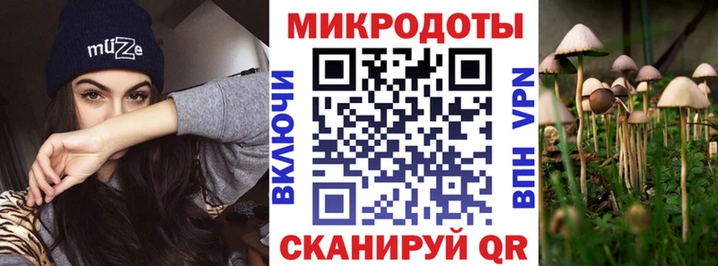 hydra зеркало  где купить наркотик  Кыштым  Псилоцибиновые грибы Psilocybine cubensis 